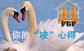 QȺFTF���⣺��ҧ���ĵ�