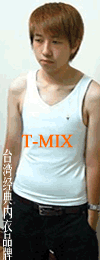 T-MIX����Ʒ��